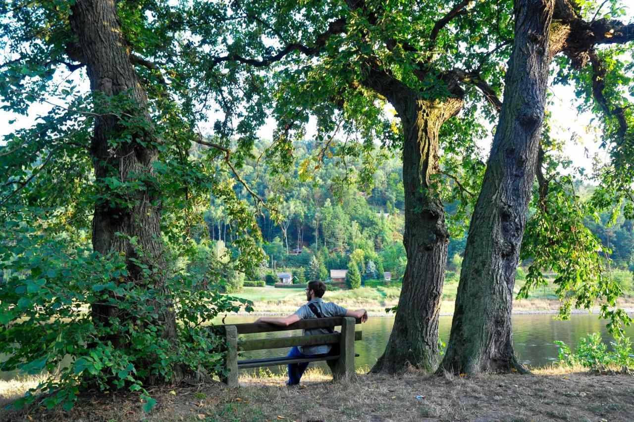 Pension Am Nationalpark Stadt Wehlen Extérieur photo